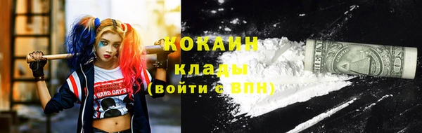 мяу мяу мука Коряжма