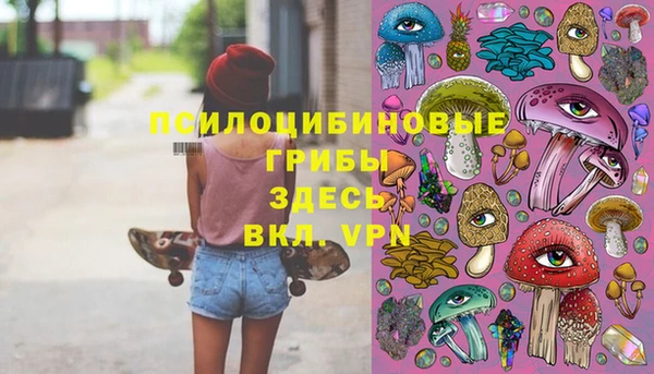 гидра Костерёво