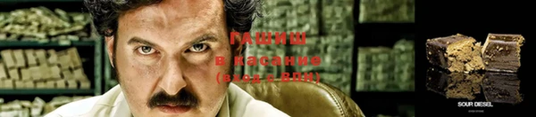 гидра Костерёво