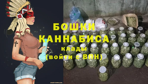 гидра Костерёво