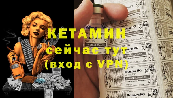 гидра Костерёво