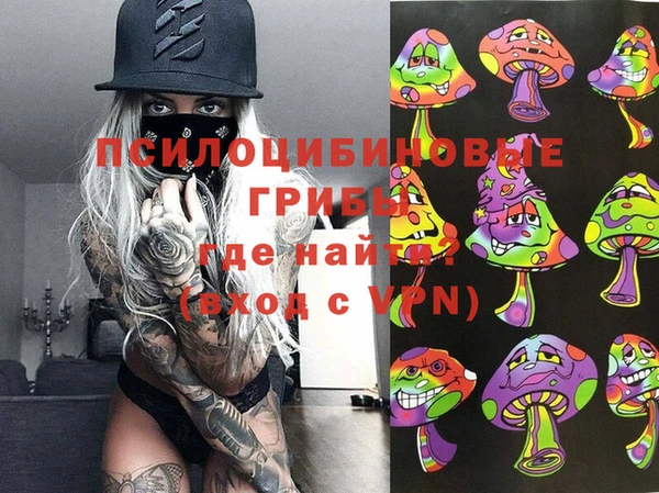 герыч Козельск