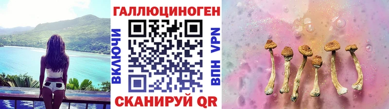 где купить наркоту  Кириши  Псилоцибиновые грибы мухоморы 
