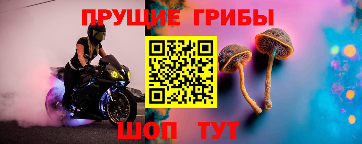 Галлюциногенные грибы Magic Shrooms Кириши