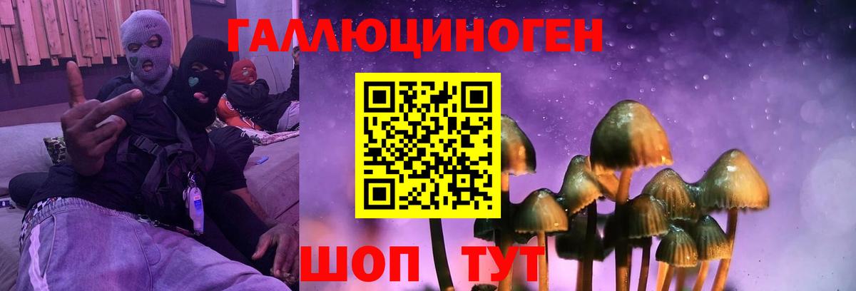Кириши  Псилоцибиновые грибы Cubensis  Вход с VPN 